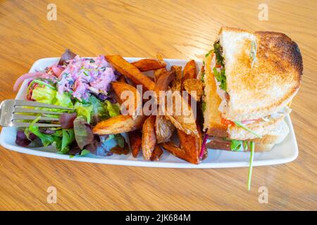 Panino Club tostato con pollo e bacon con con patatine fritte e foglie di coleslaw su un piatto lungo Foto Stock