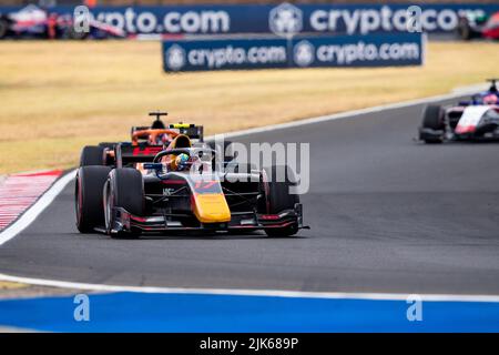 17 IWASA Ayumu (jpn), DAMS, Dallara F2, in azione durante il round 10th del Campionato FIA di Formula 2 2022, dal 28 al 31 luglio 2022 sull'Hungaroring, a Mogyorod, Ungheria - Foto Joao Filipe/DPPI Foto Stock