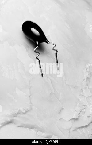 Forma di insetto Foto Stock