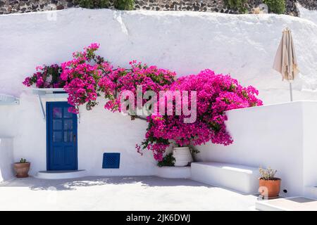 Pittoreschi alloggi imbiancati di bianco con porta blu e bougainvillea fiorita, Aghios Artemios Case tradizionali, Santorini, Grecia, UE Foto Stock