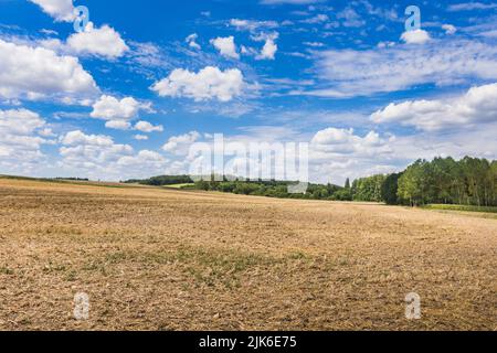 Fallow Farmland dopo la vendemmia primaverile - sud-Touraine, Ind-re-et-Loire (37), Francia. Foto Stock