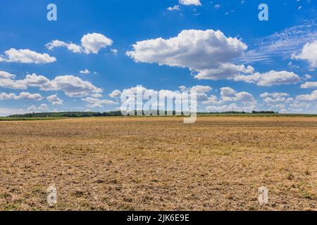 Fallow Farmland dopo la vendemmia primaverile - sud-Touraine, Ind-re-et-Loire (37), Francia. Foto Stock