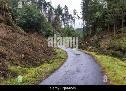 Jetrichovice, Repubblica Ceca. 30th luglio 2022. Nel Parco Nazionale Boemo la Svizzera iniziò a tagliare gli alberi per creare dei parafuoco per fermare la diffusione del fuoco nel Parco Nazionale Ceske Svycarsko (Svizzera Ceca), Repubblica Ceca, 30 luglio 2022. L'incendio nella Svizzera ceca NP dura sette giorni. Credit: Vojtech Hajek/CTK Photo/Alamy Live News Foto Stock