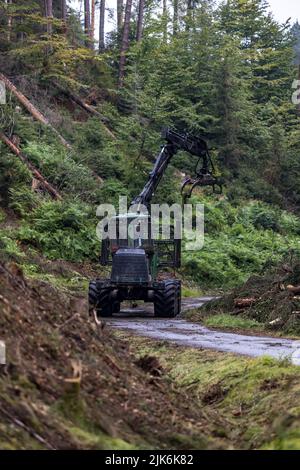 Jetrichovice, Repubblica Ceca. 30th luglio 2022. Nel Parco Nazionale Boemo la Svizzera iniziò a tagliare gli alberi per creare dei parafuoco per fermare la diffusione del fuoco nel Parco Nazionale Ceske Svycarsko (Svizzera Ceca), Repubblica Ceca, 30 luglio 2022. L'incendio nella Svizzera ceca NP dura sette giorni. Credit: Vojtech Hajek/CTK Photo/Alamy Live News Foto Stock