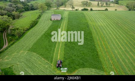 Falciando un raccolto di erba in una fattoria nella Valle Eden vicino Kirkby Stephen, Cumbria. Vista drone Foto Stock