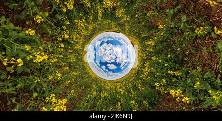 sfera blu invertita piccola vista del pianeta di giallo fioritura campo di colza, tunnel rotondo vista Foto Stock