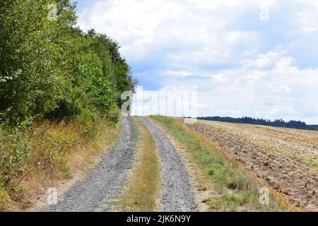 strada sterrata in estate Foto Stock