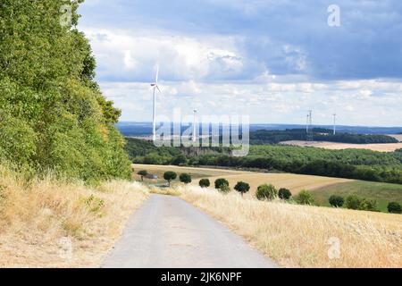 strada sterrata in estate Foto Stock
