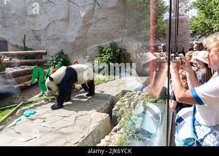 Mosca, Russia. 31st luglio 2022. (220731) -- MOSCA, 31 luglio 2022 (Xinhua) -- i visitatori guardano il panda gigante Ru Yi allo Zoo di Mosca, capitale della Russia, il 31 luglio 2022. Lo zoo di Mosca la domenica ha festeggiato i compleanni di due panda giganti Ding Ding e Ru Yi. Il maschio di sei anni Ru Yi è nato il 31 luglio 2016 mentre la femmina di cinque anni Ding Ding è nata il 30 luglio 2017. La coppia arrivò a Mosca nel 2019 dalla provincia sudoccidentale del Sichuan per un programma di ricerca congiunto di 15 anni. (Xinhua/Bai Xueqi) Credit: Xinhua/Alamy Live News Foto Stock