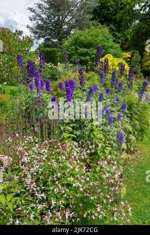 Estate piantando a Thornbridge Hall giardini vicino Bakewell, Peak District, Derbyshire, Inghilterra. Foto Stock