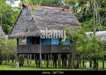 Il Curassow Amazon Lodge si trova sulle rive del fiume Yanayacu nell'Amazzonia peruviana Foto Stock