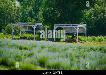 Arbors in legno dipinto con sedie e fieno per rilassarsi con ombra di legno in natura Foto Stock