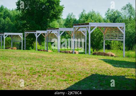 Arbors in legno dipinto con sedie e fieno per rilassarsi con ombra di legno in natura Foto Stock