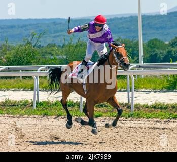 Corsa di cavalli per il premio del Derby sull'ippodromo di Pyatigorsk, Caucaso settentrionale. Foto Stock