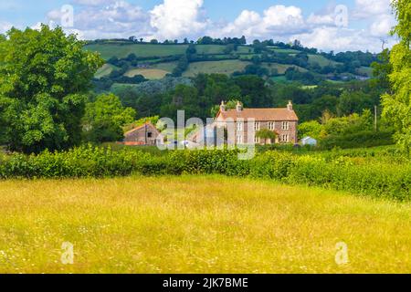 Terreni agricoli vicino a Ubley-un piccolo villaggio e parrocchia civile all'interno della Valle di Chew a Bath e Somerset nord-est, al lago di Blagdon, luglio 2022 Foto Stock