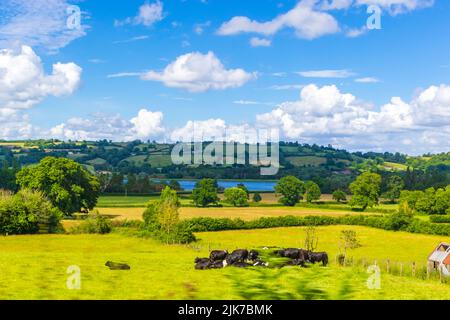 Terreni agricoli vicino a Ubley-un piccolo villaggio e parrocchia civile all'interno della Valle di Chew a Bath e Somerset nord-est, al lago di Blagdon, luglio 2022 Foto Stock