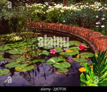 Giardino stagno circondato da un muro di mattoni Foto Stock