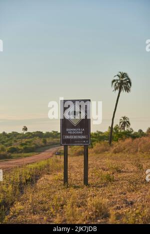 31 dicembre 2021, Parco Nazionale El Palmar, Entre Rios, Argentina: Strada sterrata e segnaletica con il disegno di un capybara e il testo Rallenta. Fauna selvatica cr Foto Stock