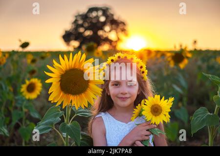Ragazza e girasoli in campo di girasole durante il tramonto. Agricoltura, agricoltura, infanzia e concetto spensierato. Foto Stock