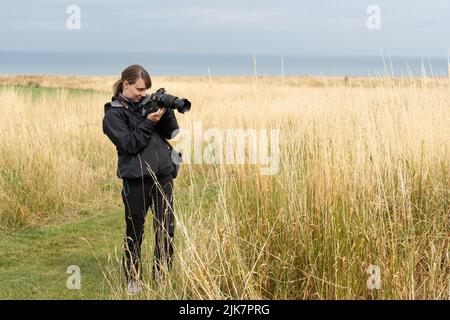 Fotografa che cattura la natura nelle praterie dorate con il teleobiettivo Foto Stock