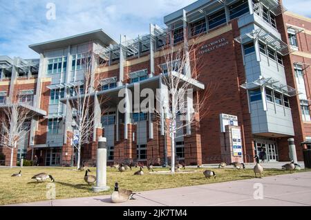 L'Università del Nevada, Reno, ha un bel campus, tra cui la biblioteca e l'Unione studentesca. Foto Stock