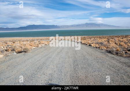 Il lago Walker è una vista interessante nei deserti del Nevada, USA. Foto Stock