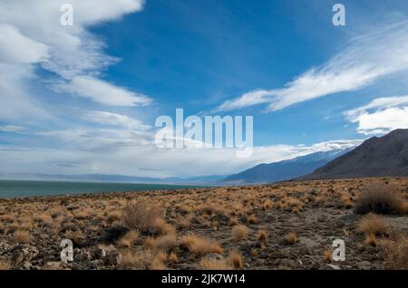 Il lago Walker è una vista interessante nei deserti del Nevada, USA. Foto Stock