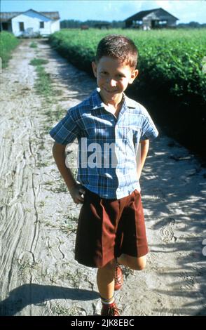 Michael Conner Humphreys Film: Forrest Gump (USA 1994) personaggi: Young Forrest Director: Robert Zemeckis 23 Giugno 1994 **AVVISO** questa fotografia è solo per uso editoriale ed è il copyright di PARAMOUNT e/o del fotografo assegnato dalla Film o dalla Production Company e può essere riprodotta solo da pubblicazioni in concomitanza con la promozione del suddetto Film. È necessario un credito obbligatorio per PARAMOUNT. Il fotografo deve essere accreditato anche quando è noto. Nessun uso commerciale può essere concesso senza l'autorizzazione scritta della Film Company. Foto Stock