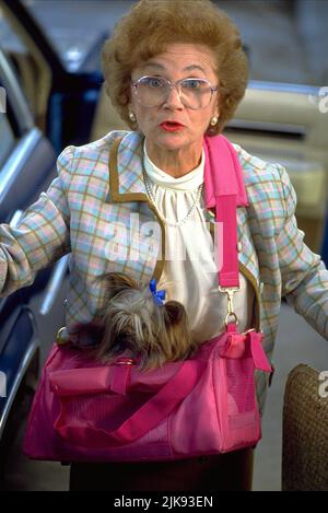 Estelle Getty Film: Stop! O My Mom Will Shoot (1992) personaggi: Tutti Bomowski regista: Roger Spotisfoode 21 Febbraio 1992 **ATTENZIONE** questa fotografia è solo per uso editoriale ed è il copyright di UNIVERSAL e/o del fotografo assegnato dalla Film o dalla Società di produzione e può essere riprodotto solo da pubblicazioni in concomitanza con la promozione del suddetto Film. È richiesto un credito obbligatorio per UNIVERSAL. Il fotografo deve essere accreditato anche quando è noto. Nessun uso commerciale può essere concesso senza l'autorizzazione scritta della Film Company. Foto Stock