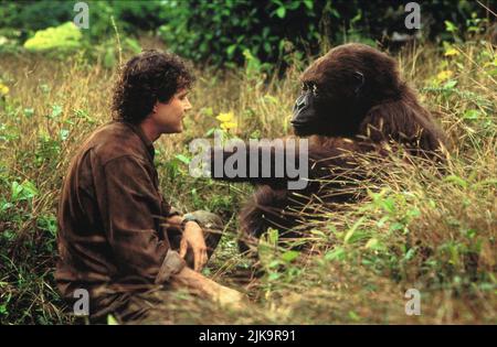 Dylan Walsh & Gorilla Film: Congo (1995) personaggi: Dr. Peter Elliot & Gorilla regista: Frank Marshall 09 giugno 1995 **AVVISO** questa fotografia è solo per uso editoriale ed è il copyright di PARAMOUNT e/o del fotografo assegnato dalla Film o dalla Production Company e può essere riprodotta solo da pubblicazioni in concomitanza con la promozione del suddetto Film. È necessario un credito obbligatorio per PARAMOUNT. Il fotografo deve essere accreditato anche quando è noto. Nessun uso commerciale può essere concesso senza l'autorizzazione scritta della Film Company. Foto Stock