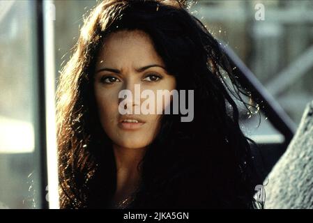 Salma Hayek Film: Desperado (USA 1995) personaggi: Carolina regista: Robert Rodriguez 25 Agosto 1995 **AVVISO** questa fotografia è solo per uso editoriale ed è il copyright delle IMMAGINI COLUMBIA e/o del fotografo assegnato dalla Film o dalla Production Company e può essere riprodotto solo da pubblicazioni in concomitanza con la promozione del suddetto Film. È richiesto un credito obbligatorio per LE IMMAGINI COLUMBIA. Il fotografo deve essere accreditato anche quando è noto. Nessun uso commerciale può essere concesso senza l'autorizzazione scritta della Film Company. Foto Stock