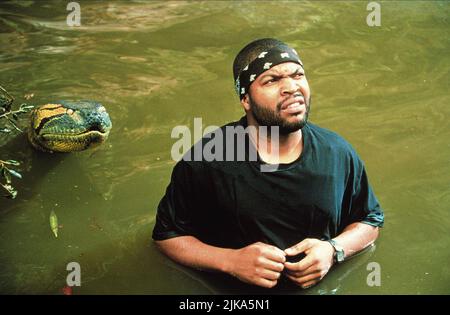 Film gigante di Snake & Ice Cube: Anaconda (USA/BRA/PE 1997) personaggi: & Danny Rich Director: Luis Llosa 11 Aprile 1997 **ATTENZIONE** questa foto è solo per uso editoriale ed è il copyright di COLUMBIA e/o del fotografo assegnato dalla Film or Production Company e può essere riprodotto solo da pubblicazioni in concomitanza con la promozione del suddetto Film. È richiesto un credito obbligatorio per COLUMBIA. Il fotografo deve essere accreditato anche quando è noto. Nessun uso commerciale può essere concesso senza l'autorizzazione scritta della Film Company. Foto Stock