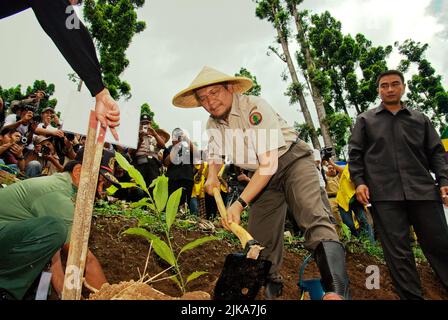 Ministro indonesiano della silvicoltura, Malam Sambat Kaban (MS Kaban) piantando un albero durante un evento organizzato da Conservation International (ci)-Indonesia e Gede Pangrango National Park a Nagrak, un villaggio che si trova al confine del parco nazionale a Sukabumi, Giava Occidentale, Indonesia. Foto Stock