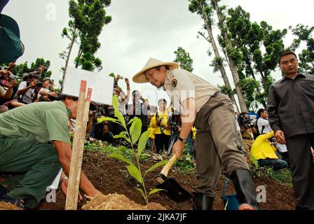 Ministro indonesiano della silvicoltura, Malam Sambat Kaban (MS Kaban) piantando un albero durante un evento organizzato da Conservation International (ci)-Indonesia e Gede Pangrango National Park a Nagrak, un villaggio che si trova al confine del parco nazionale a Sukabumi, Giava Occidentale, Indonesia. Foto Stock