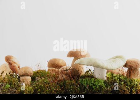 Composizione con funghi porcini marroni modificabili in muschio verde o erba isolata su sfondo beige pastello studio. Vendemmia autunnale, concetto di hobby. Porcini selvatici, cep primo piano. Spazio di copia Foto Stock