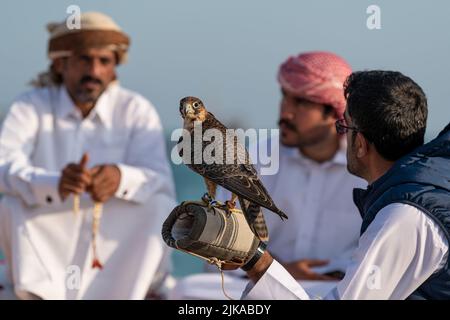 Arabo in costume arabo tradizionale che tiene un falco bendato Foto Stock