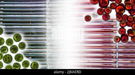 Fotobioreattore in laboratorio di scienza medica, industria di biocarburanti di alghe combustibili, ricerca di alghe, energia e biotecnologia di trattamento sanitario, coronavirus Foto Stock