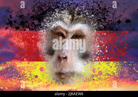Un nuovo focolaio di infezione virale in Germania, scimmietta. Primo piano della testa di scimmia sullo sfondo degli schizzi bandiera Deutsche. Il concetto di scimmietta, Foto Stock
