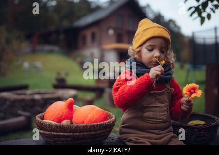 Bambina con fiori raccolta di zucca biologica in serra ecologica in primavera, stile di vita sostenibile. Foto Stock