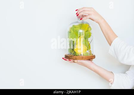 decorazioni creative per interni con cupola in vetro Foto Stock