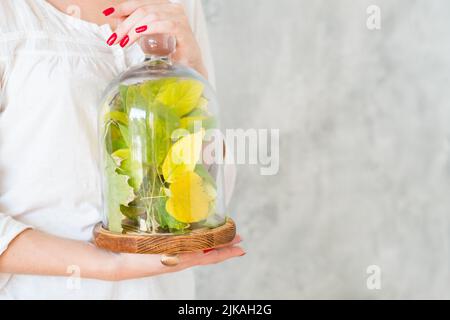 salvare la natura donna lascia vetro display cupola Foto Stock