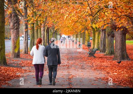 Coppia camminando su un sentiero alberato nel parco di Greenwich durante la stagione autunnale a Londra, Inghilterra Foto Stock