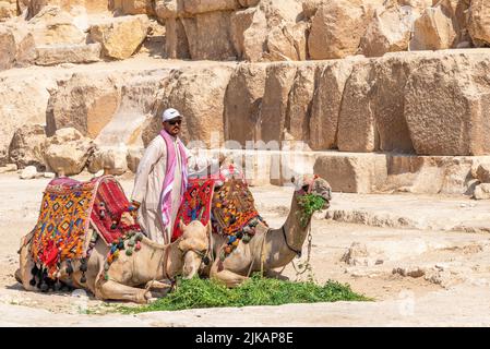 Giza, Egitto; 27 luglio 2022 - cammelli e loro proprietari alle Piramidi, Egitto Foto Stock