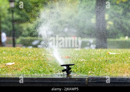 L'irrigazione automatica spruzza getti d'acqua sull'erba verde. Primo piano ugello in plastica. Sistema di irrigazione automatico del prato estivo del parco stradale della città Foto Stock