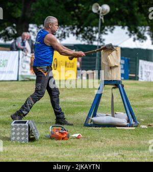 Clywd Axmen alla GWCT Scottish Game Fair 2022, Scone Palace, Perthshire Foto Stock