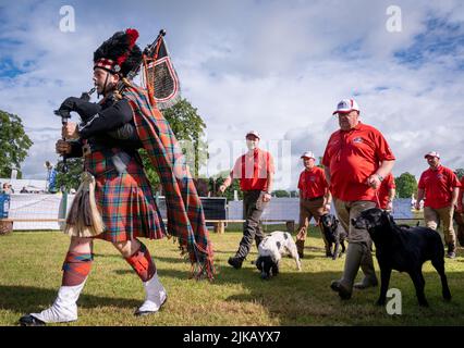 Il Concorso internazionale di cani da Gun delle quattro Nazioni, processione alla GWCT Scottish Game Fair 2022, Scone Palace, Perthshire Foto Stock