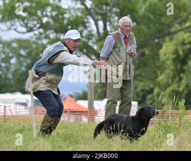 Il Concorso internazionale di cani da Gun delle quattro Nazioni, processione alla GWCT Scottish Game Fair 2022, Scone Palace, Perthshire Foto Stock