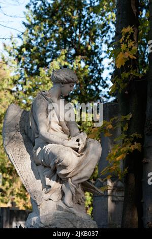 Scultura tomba di angelo seduto al cimitero di Lychakiv a Lviv, Ucraina Foto Stock