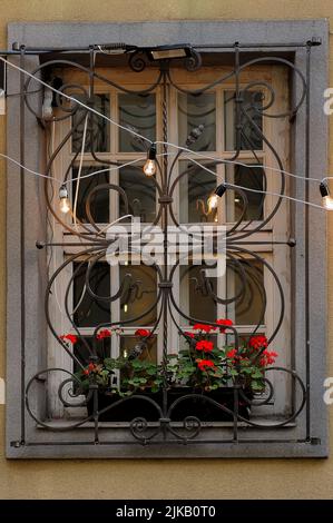 Davanzale con grata, bulbi e geranio in Lviv Ucraina Foto Stock