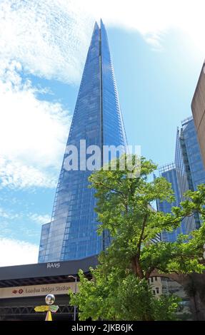 Albero in contrasto con lo Shard at London Bridge, 32 London Bridge St, SE1 9SG Foto Stock